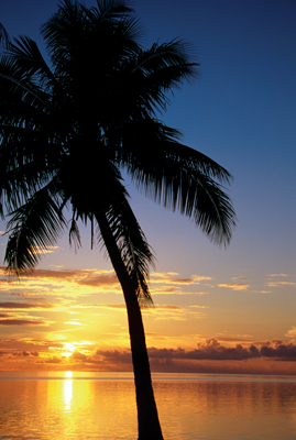 SCENERY Beach`SB 101